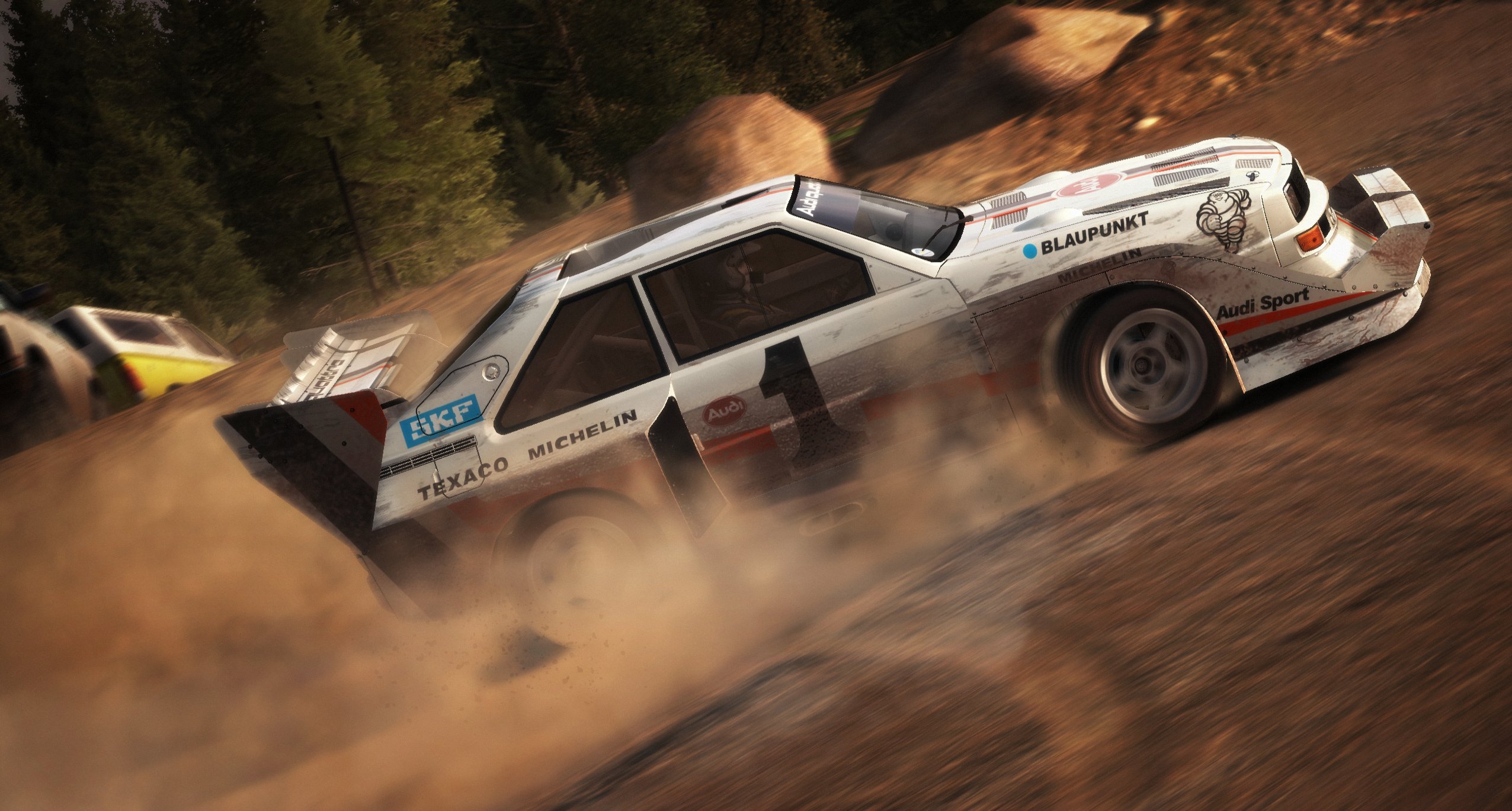 DiRT Rally - Imagen 32